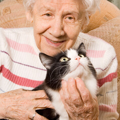 Free Cats for Seniors