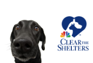 Clear the shelters 2020